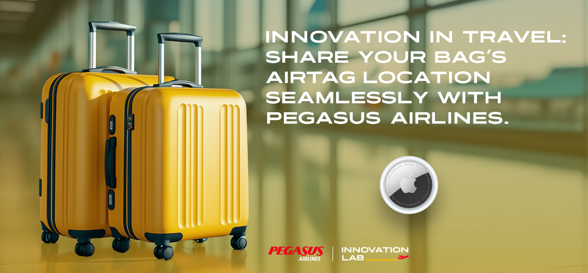 Pegasus Innovation Lab